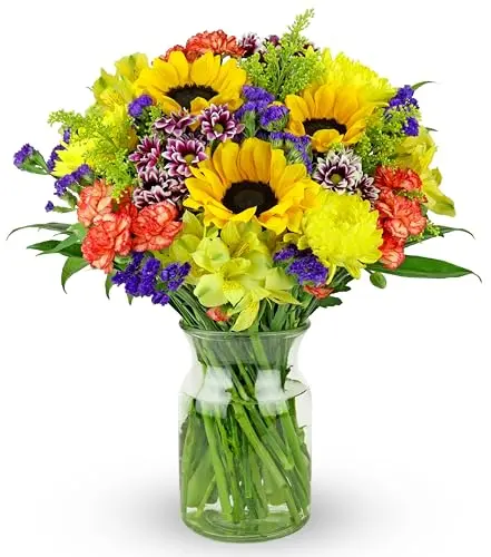 Benchmark Bouquets Flowering Fields mixed fresh flower bouquet with sunflowers in a glass vase