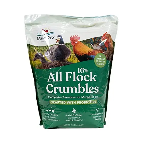 Manna Pro All Flock Crumbles in a bag, suitable for chickens, ducks, and turkeys.