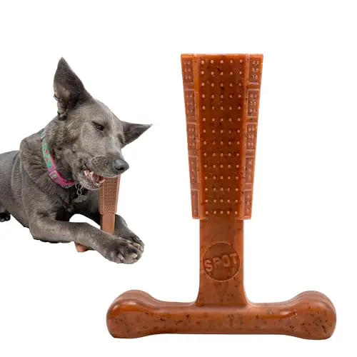 SPOT Bam-Bones T-bone shaped dog chew toy in brown