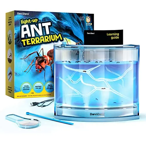 Dan&Darci Light-up Ant Farm Terrarium with blue gel and LED lights