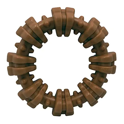 Nylabone Textured Ring dog chew toy for small breeds