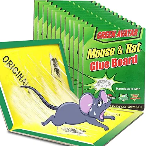 EZOON large green mouse glue traps, 12-pack
