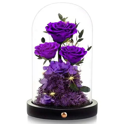 DENIMOMO glass dome containing a preserved purple rose on a wooden base