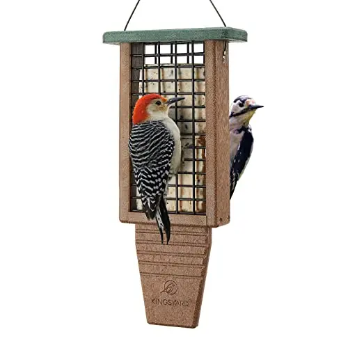 Kingsyard green double suet bird feeder with tail prop, holding two cakes