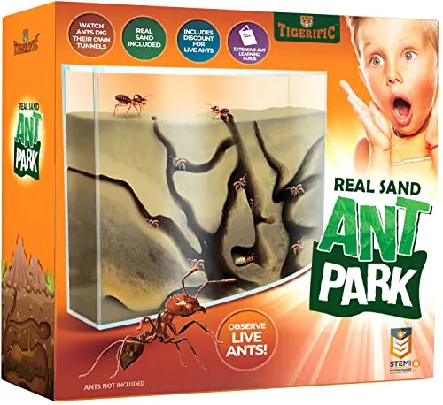 Tigerific Ant Farm for Live Ants with real sand and connector tube