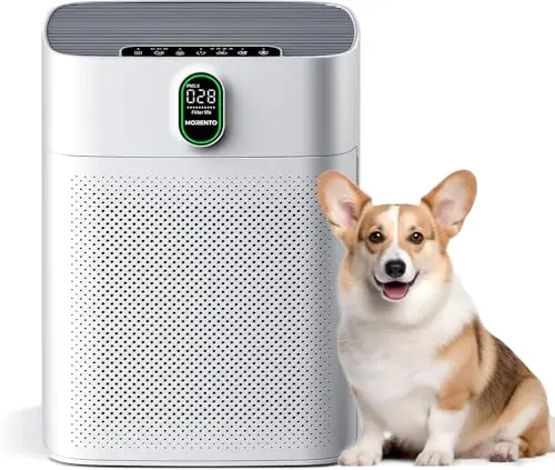 Morento HY4866 air purifier for large rooms with PM2.5 display and dual intakes