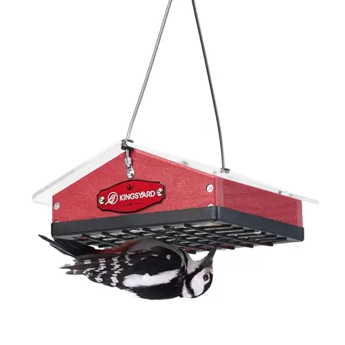 Kingsyard red upside-down suet bird feeder with clear roof
