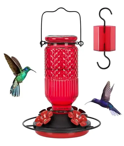 FEED GARDEN red glass hummingbird feeder with metal bee guard ports