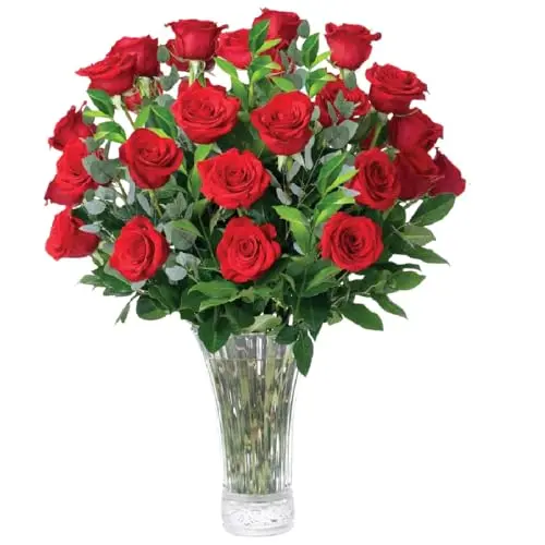 Aquarossa Farms bouquet of 24 vibrant red fresh roses with eucalyptus greenery