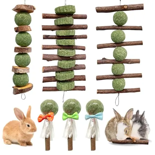 Jorewood set of 3 hanging chew toys with grass lollipops for small animals