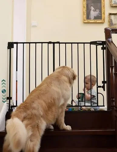 Babelio removable baby gate with modular parts for easy storage
