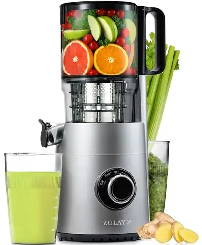 Zulay Kitchen Cold Press Juicer on counter