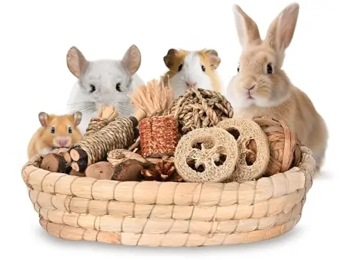 TWILUMIN 31-piece assortment of natural rabbit chew toys and treats