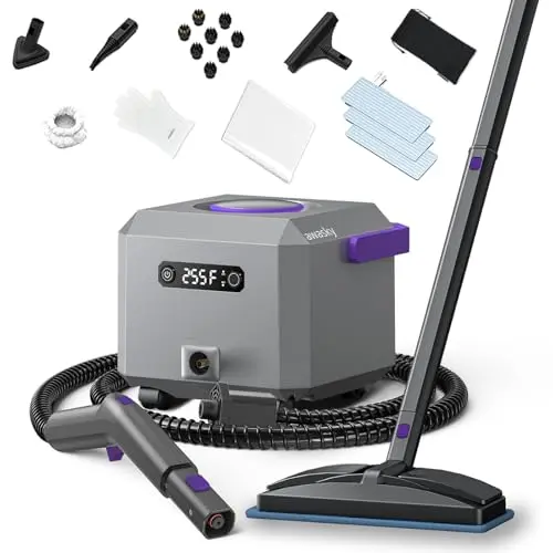 awasky grey canister steam cleaner with detachable hose