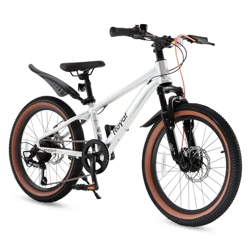RoyalBaby 20-inch silver kids mountain bike with disc brakes and sleek design