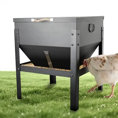 KOL large galvanized steel chicken feeder with a domed waterproof lid