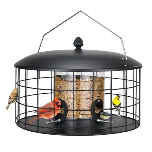 Veehoo black metal caged bird feeder designed to be squirrel-proof for cardinals and finches.