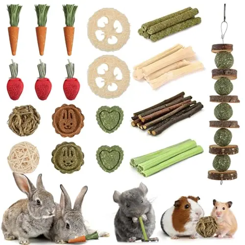 KAGOTY 40-piece rabbit chew toy set with carrot and strawberry shapes