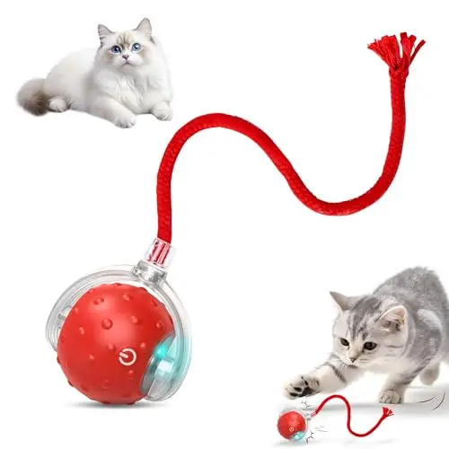 Small red electronic ball toy that moves on its own for pets