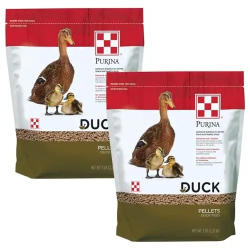 Purina Duck Feed Pellets in a bag, suitable for ducklings and adult ducks.