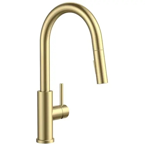 FORIOUS gold classic kitchen faucet with pull-down sprayer and high arc