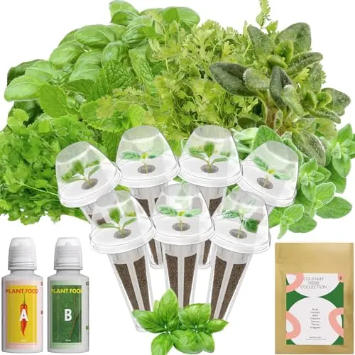 inbloom herb seed pod kit with basil, parsley, mint, cilantro, savory, thyme, and oregano seeds
